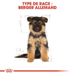 ROYAL CANIN German Shepherd Puppy 3kg X2 -ROYAL CANIN Soldes Magasin fre pl ROYAL CANIN German Shepherd Puppy 3kg x2 30765 4