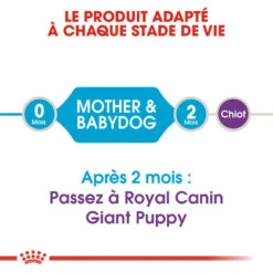 ROYAL CANIN Giant Starter Mother & Babydog 15kg 10 ROYAL CANIN Giant Starter Mother & Babydog 15kg -ROYAL CANIN Soldes Magasin fre pl ROYAL CANIN Giant Starter Mother Babydog 15kg 9537 2