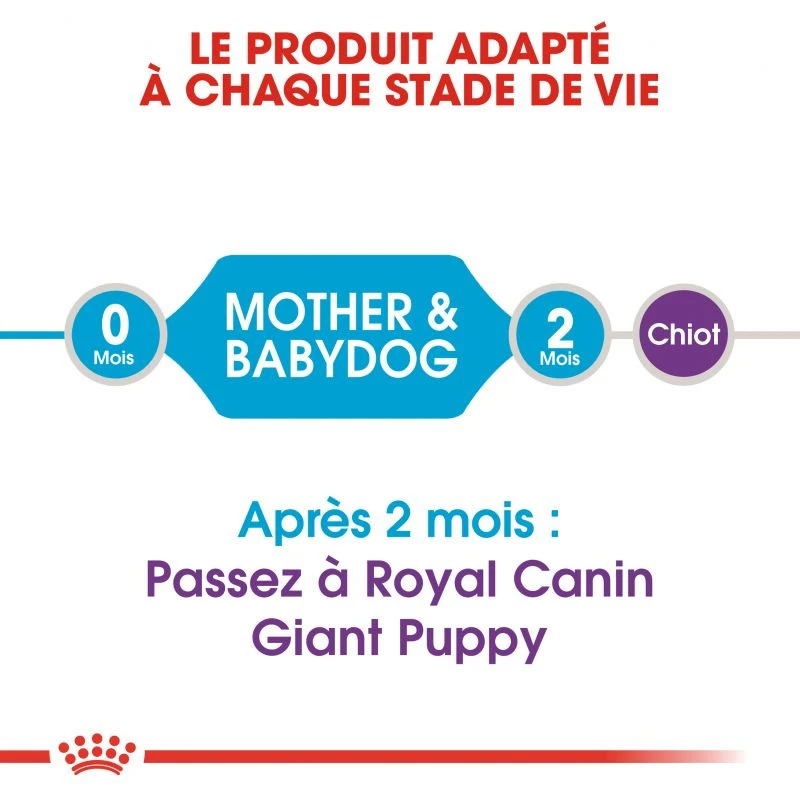 ROYAL CANIN Giant Starter Mother & Babydog 15kg 5 ROYAL CANIN Giant Starter Mother & Babydog 15kg – Image 3