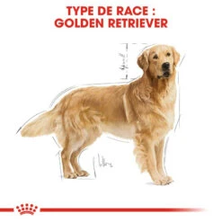 ROYAL CANIN Golden Retriever Adult 12kg -ROYAL CANIN Soldes Magasin fre pl ROYAL CANIN Golden Retriever Adult 12kg 16018 3