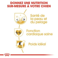 ROYAL CANIN Golden Retriever Adult 12kg -ROYAL CANIN Soldes Magasin fre pl ROYAL CANIN Golden Retriever Adult 12kg 16018 5