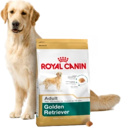 ROYAL CANIN Golden Retriever Adult 12kg + Surprise Pour Votre Chien GRATUITES ! -ROYAL CANIN Soldes Magasin fre pl ROYAL CANIN Golden Retriever Adult 12kg surprise pour votre chien GRATUITES 17874 3