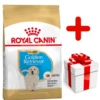 ROYAL CANIN Golden Retriever Puppy 12kg + Surprise Pour Votre Chien GRATUITES ! 2 ROYAL CANIN Golden Retriever Puppy 12kg + Surprise Pour Votre Chien GRATUITES ! -ROYAL CANIN Soldes Magasin fre pl ROYAL CANIN Golden Retriever Puppy 12kg surprise pour votre chien GRATUITES 17884 1