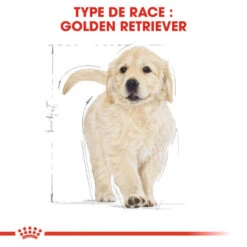 ROYAL CANIN Golden Retriever Puppy 3kg -ROYAL CANIN Soldes Magasin fre pl ROYAL CANIN Golden Retriever Puppy 3kg 16020 6