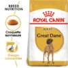 ROYAL CANIN Great Dane Adult 12kg 1 ROYAL CANIN Great Dane Adult 12kg -ROYAL CANIN Soldes Magasin fre pl ROYAL CANIN Great Dane Adult 12kg 9213 1