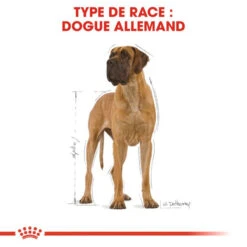 ROYAL CANIN Great Dane Adult 12kg -ROYAL CANIN Soldes Magasin fre pl ROYAL CANIN Great Dane Adult 12kg 9213 3