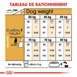 ROYAL CANIN Great Dane Adult 12kg -ROYAL CANIN Soldes Magasin fre pl ROYAL CANIN Great Dane Adult 12kg 9213 6