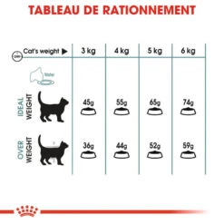 ROYAL CANIN Hairball Care 4kg 12 ROYAL CANIN Hairball Care 4kg -ROYAL CANIN Soldes Magasin fre pl ROYAL CANIN Hairball Care 4kg 16037 6