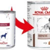 ROYAL CANIN Hepatic 420g X12 -ROYAL CANIN Soldes Magasin fre pl ROYAL CANIN Hepatic 420g x12 30436 1