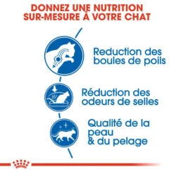 ROYAL CANIN Indoor Long Hair 2kg -ROYAL CANIN Soldes Magasin fre pl ROYAL CANIN Indoor Long Hair 2kg 15263 7