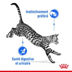 ROYAL CANIN Indoor Sterilised Sauce 12x85g -ROYAL CANIN Soldes Magasin fre pl ROYAL CANIN Indoor Sterilised Sauce 12x85g 12296 3