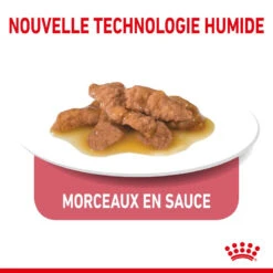 ROYAL CANIN Indoor Sterilised Sauce 12x85g -ROYAL CANIN Soldes Magasin fre pl ROYAL CANIN Indoor Sterilised Sauce 12x85g 12296 4