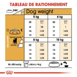 ROYAL CANIN Jack Russell Terrier Adult 500g -ROYAL CANIN Soldes Magasin fre pl ROYAL CANIN Jack Russell Terrier Adult 500g 16917 4