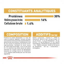 ROYAL CANIN Jack Russell Terrier Adult 500g X2 13 ROYAL CANIN Jack Russell Terrier Adult 500g X2 -ROYAL CANIN Soldes Magasin fre pl ROYAL CANIN Jack Russell Terrier Adult 500g x2 30602 5