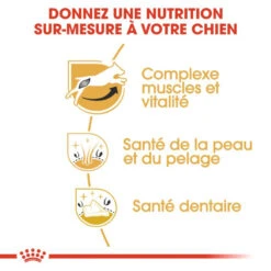 ROYAL CANIN Jack Russell Terrier Adult 7,5kg -ROYAL CANIN Soldes Magasin fre pl ROYAL CANIN Jack Russell Terrier Adult 7 5kg 15345 4