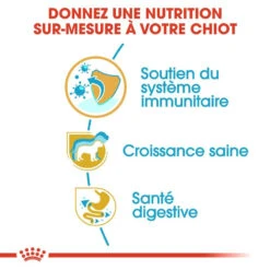 ROYAL CANIN Jack Russell Terrier Puppy 1,5kg -ROYAL CANIN Soldes Magasin fre pl ROYAL CANIN Jack Russell Terrier Puppy 1 5kg 16919 4