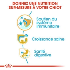 ROYAL CANIN Jack Russell Terrier Puppy 500g X2 -ROYAL CANIN Soldes Magasin fre pl ROYAL CANIN Jack Russell Terrier Puppy 500g x2 30744 2