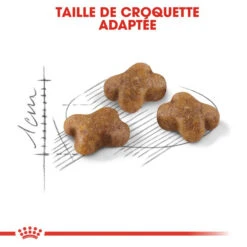 ROYAL CANIN Kitten 4kg -ROYAL CANIN Soldes Magasin fre pl ROYAL CANIN Kitten 4kg 16044 6