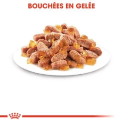 ROYAL CANIN Kitten Sterilised 12x85g 10 ROYAL CANIN Kitten Sterilised 12x85g -ROYAL CANIN Soldes Magasin fre pl ROYAL CANIN Kitten Sterilised 12x85g 9535 1