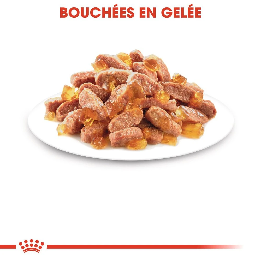 ROYAL CANIN Kitten Sterilised 12x85g 5 ROYAL CANIN Kitten Sterilised 12x85g – Image 3