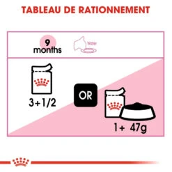 ROYAL CANIN Kitten Sterilised 12x85g 12 ROYAL CANIN Kitten Sterilised 12x85g -ROYAL CANIN Soldes Magasin fre pl ROYAL CANIN Kitten Sterilised 12x85g 9535 5