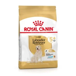 Meilleures ventes -ROYAL CANIN Soldes Magasin fre pl ROYAL CANIN Labrador Retriever Adult 5 12kg 12525 2