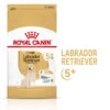 ROYAL CANIN Labrador Retriever Adult 5+ 3kg -ROYAL CANIN Soldes Magasin fre pl ROYAL CANIN Labrador Retriever Adult 5 3kg 12526 6