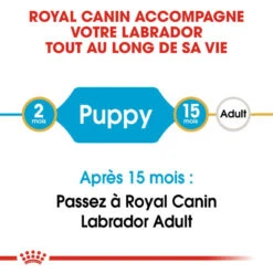 ROYAL CANIN Labrador Retriever Puppy 12kg -ROYAL CANIN Soldes Magasin fre pl ROYAL CANIN Labrador Retriever Puppy 12kg 9263 3