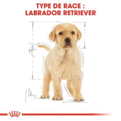 ROYAL CANIN Labrador Retriever Puppy 3kg -ROYAL CANIN Soldes Magasin fre pl ROYAL CANIN Labrador Retriever Puppy 3kg 16063 5