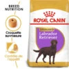ROYAL CANIN Labrador Retriever Sterilised 12kg -ROYAL CANIN Soldes Magasin fre pl ROYAL CANIN Labrador Retriever Sterilised 12kg 9273 1