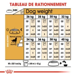 ROYAL CANIN Labrador Retriever Sterilised 12kg -ROYAL CANIN Soldes Magasin fre pl ROYAL CANIN Labrador Retriever Sterilised 12kg 9273 5