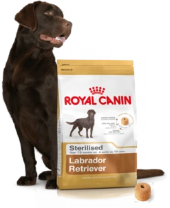 ROYAL CANIN Labrador Retriever Sterilised 12kg + Surprise Pour Votre Chien GRATUITES ! -ROYAL CANIN Soldes Magasin fre pl ROYAL CANIN Labrador Retriever Sterilised 12kg surprise pour votre chien GRATUITES 17875 4