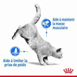 ROYAL CANIN Light Weight Care 3kg 11 ROYAL CANIN Light Weight Care 3kg -ROYAL CANIN Soldes Magasin fre pl ROYAL CANIN Light Weight Care 3kg 12521 3