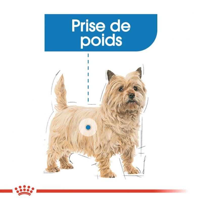 ROYAL CANIN Light Weight Care Pâté 12x85g 7 ROYAL CANIN Light Weight Care Pâté 12x85g – Image 5