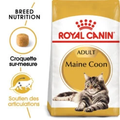 ROYAL CANIN Maine Coon Adult 10kg