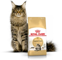 ROYAL CANIN Maine Coon Adult 10kg + Surprise Pour Votre Chat GRATUITES ! -ROYAL CANIN Soldes Magasin fre pl ROYAL CANIN Maine Coon Adult 10kg surprise pour votre chat GRATUITES 17885 3