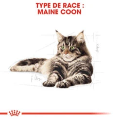ROYAL CANIN Maine Coon Adult 400g 10 ROYAL CANIN Maine Coon Adult 400g -ROYAL CANIN Soldes Magasin fre pl ROYAL CANIN Maine Coon Adult 400g 16070 4