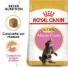 ROYAL CANIN Maine Coon Kitten 10kg 1 ROYAL CANIN Maine Coon Kitten 10kg -ROYAL CANIN Soldes Magasin fre pl ROYAL CANIN Maine Coon Kitten 10kg 16072 1