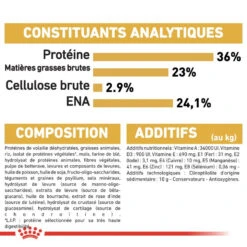 ROYAL CANIN Maine Coon Kitten 10kg -ROYAL CANIN Soldes Magasin fre pl ROYAL CANIN Maine Coon Kitten 10kg 16072 6