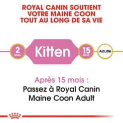 ROYAL CANIN Maine Coon Kitten 2kg -ROYAL CANIN Soldes Magasin fre pl ROYAL CANIN Maine Coon Kitten 2kg 9612 2