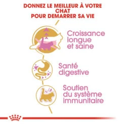 ROYAL CANIN Maine Coon Kitten 2kg -ROYAL CANIN Soldes Magasin fre pl ROYAL CANIN Maine Coon Kitten 2kg 9612 3