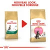 ROYAL CANIN Maine Coon Kitten 2kg -ROYAL CANIN Soldes Magasin fre pl ROYAL CANIN Maine Coon Kitten 2kg 9612 6