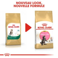 ROYAL CANIN Maine Coon Kitten 2kg