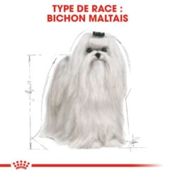 ROYAL CANIN Maltese Adult 1,5kg -ROYAL CANIN Soldes Magasin fre pl ROYAL CANIN Maltese Adult 1 5kg 16967 5
