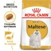 ROYAL CANIN Maltese Adult 500g X2 -ROYAL CANIN Soldes Magasin fre pl ROYAL CANIN Maltese Adult 500g x2 30746 1