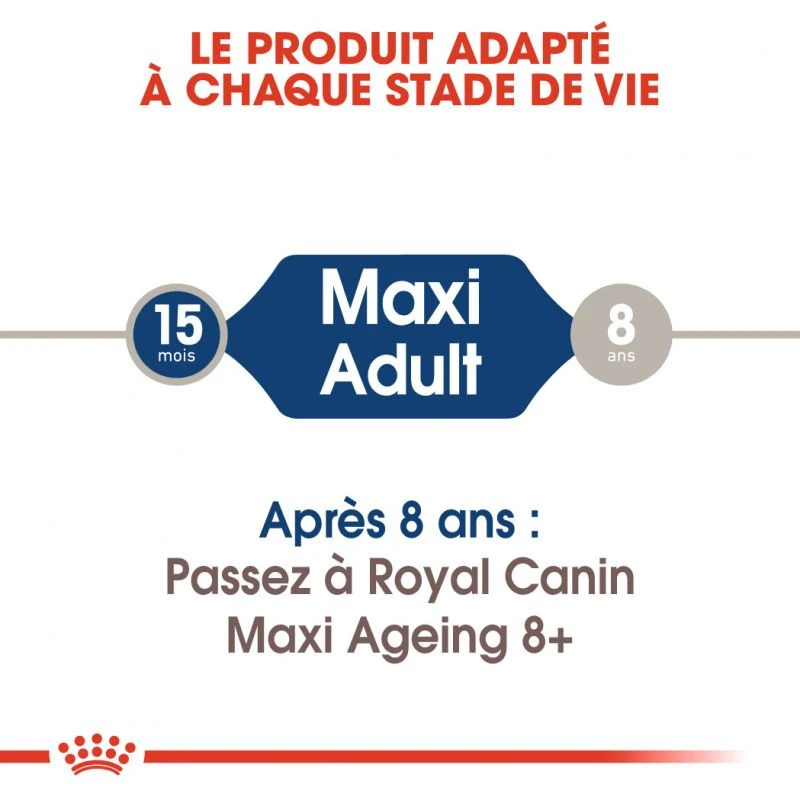 ROYAL CANIN Maxi Adult 10x140g 5 ROYAL CANIN Maxi Adult 10x140g – Image 3
