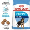 ROYAL CANIN Maxi Puppy 15kg 2 ROYAL CANIN Maxi Puppy 15kg -ROYAL CANIN Soldes Magasin fre pl ROYAL CANIN Maxi Puppy 15kg 16144 1