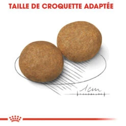 ROYAL CANIN Medium Adult 15kg + Surprise Gratuite Pour Votre Chien -ROYAL CANIN Soldes Magasin fre pl ROYAL CANIN Medium Adult 15kg Surprise gratuite pour votre chien 25257 3