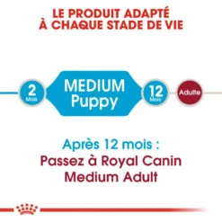 ROYAL CANIN Medium Puppy 15kg 11 ROYAL CANIN Medium Puppy 15kg -ROYAL CANIN Soldes Magasin fre pl ROYAL CANIN Medium Puppy 15kg 16145 4