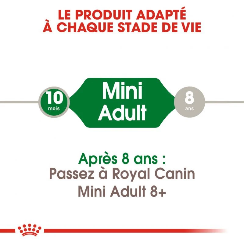 ROYAL CANIN Mini Adult 4kg 4 ROYAL CANIN Mini Adult 4kg – Image 2